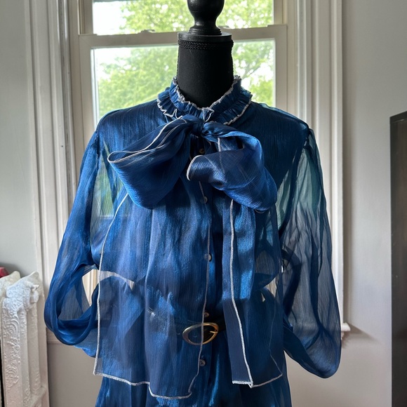 Shein Sheer blouse, long sleeves, Royal blue, women Plus size XL - Picture 4 of 11